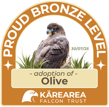Olive (falcon) sponsorship badge
